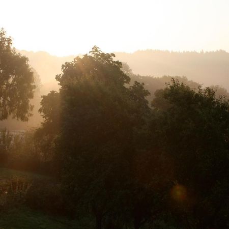 Apartament Eifel Rebeige Gerolstein Kopp Zewnętrze zdjęcie
