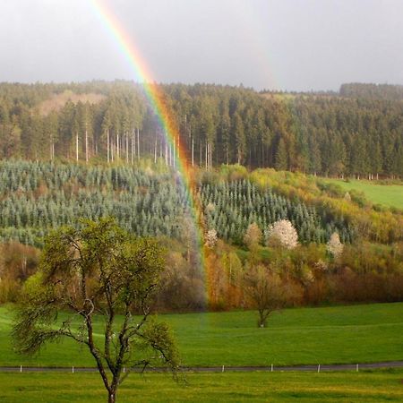 Apartament Eifel Rebeige Gerolstein Kopp Zewnętrze zdjęcie