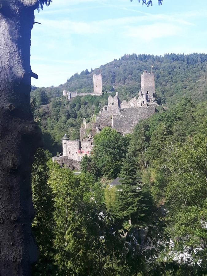 Apartament Eifel Rebeige Gerolstein Kopp Zewnętrze zdjęcie