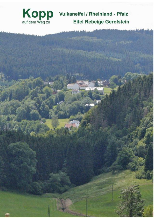 Apartament Eifel Rebeige Gerolstein Kopp Zewnętrze zdjęcie