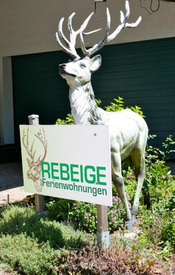 Apartament Eifel Rebeige Gerolstein Kopp Zewnętrze zdjęcie